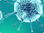 glioma cancer biology